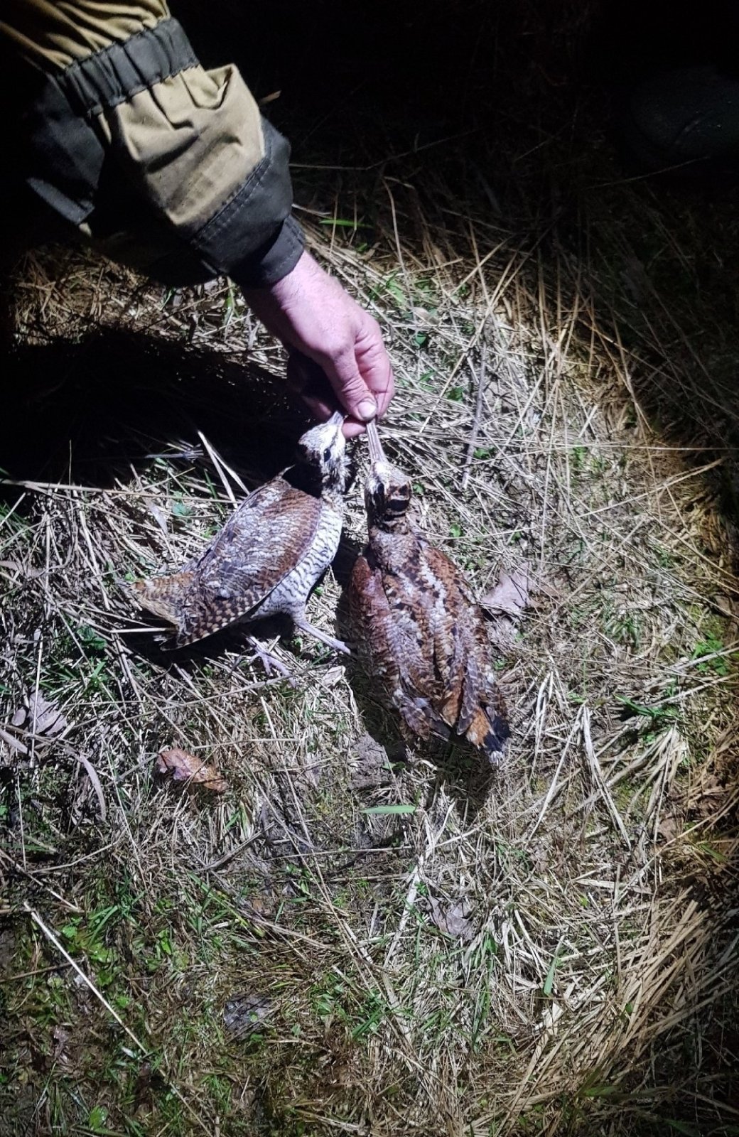 Всяко-разно.