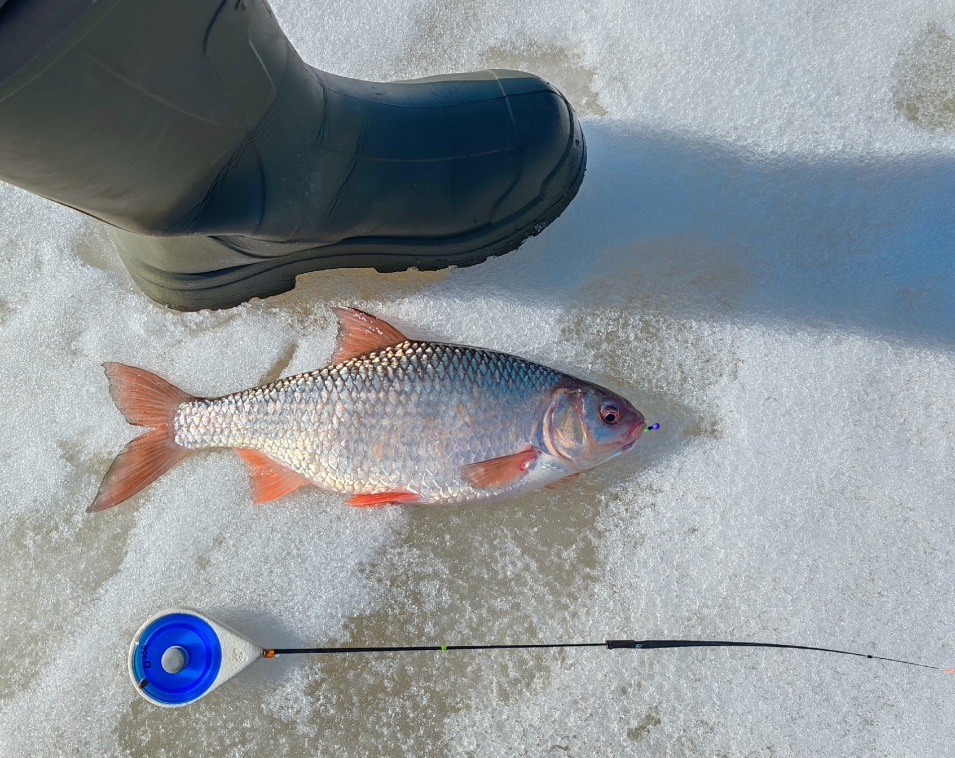 Окидывая взглядом